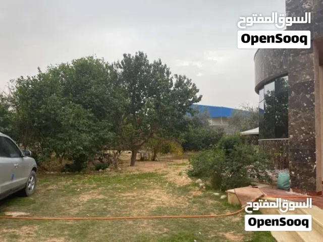 زوز هناقر للبيع معاهم عمارة عقار لي يبي مدخول كويس