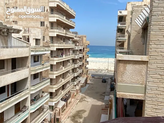 120 m2 2 Bedrooms Apartments for Rent in Alexandria Nakheel