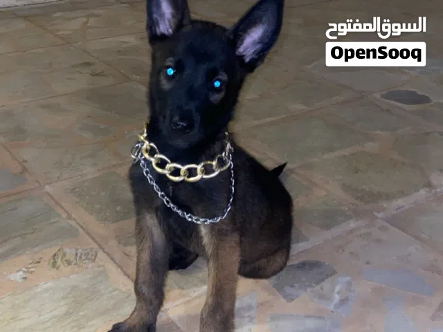 انثايه ربي يبارك