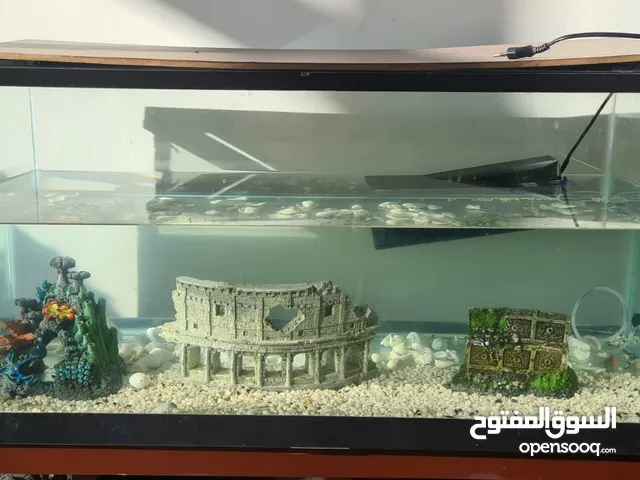 Very clean Glass Aquarium (fish, turtle, lizard), excellent condition