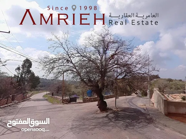 Residential Land for Sale in Amman Badr Jdedeh