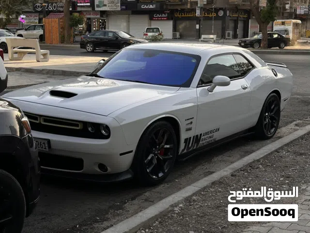 جالنجر للبيع او مراوس