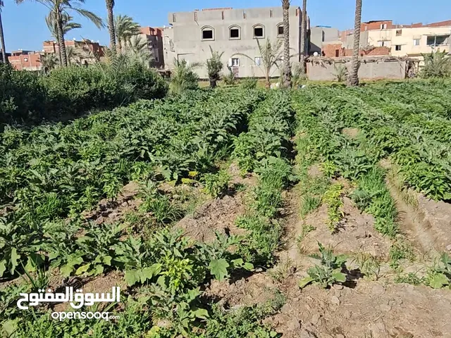 Farm Land for Sale in Damietta Kafr al-Bateekh