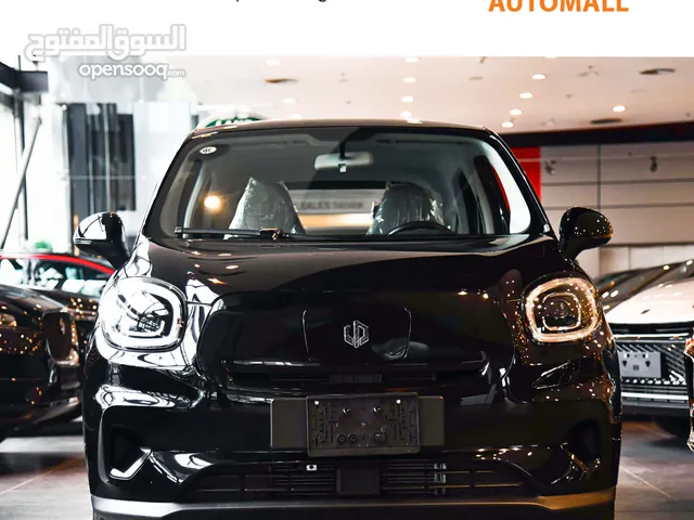 ليب موتور الكهربائية بالكامل 2022 Leapmotor T03 EV