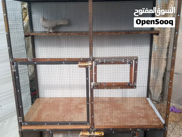 قفص طيور تحفه خانات