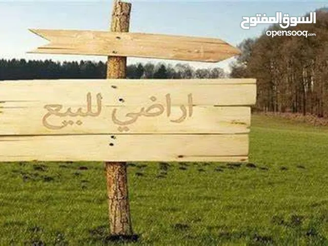 قطعة ارض لقطة ومطلة في منطقة عين الباشا مساحة 798م2 حوض الخرشا. (8) الارض على شارعين ،