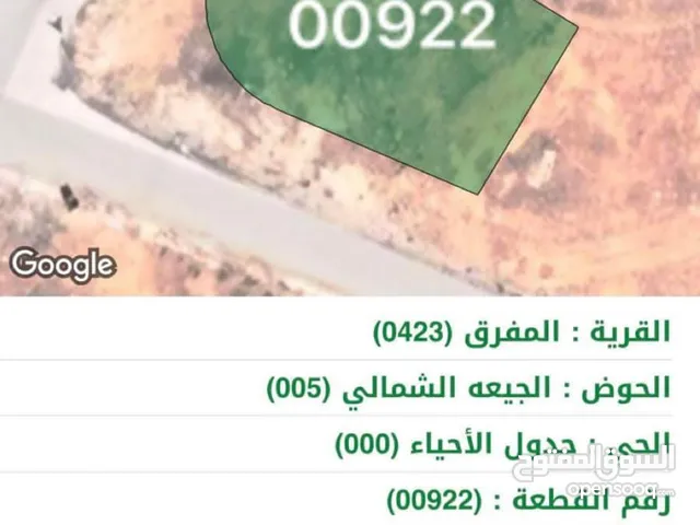 قطعة ارض في محافظة المفرق - الجيعة الشمالي