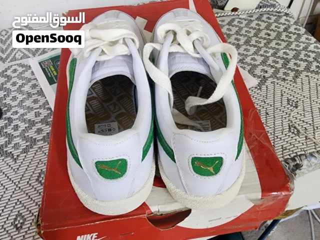 Orignal puma shoe for sale new unused size 40.