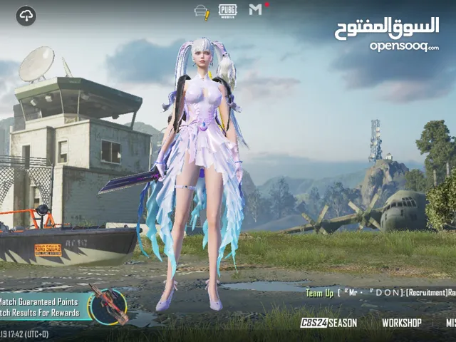 حساب ببجي نادر