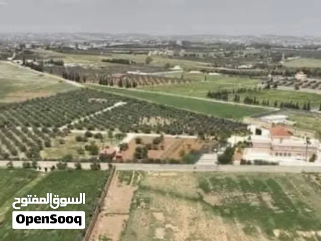 ارض مميزة في ام العمد 2000 م