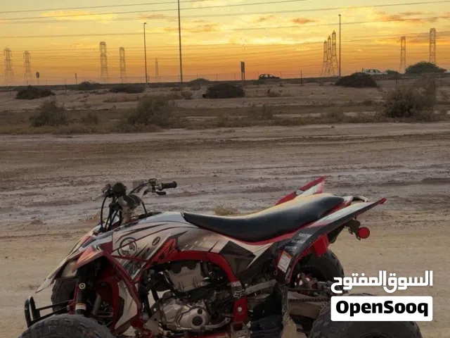 وايفزد 2019