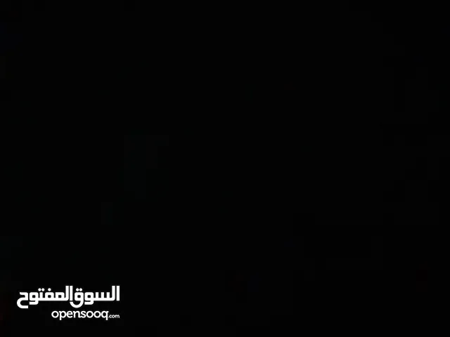 حمام بلدي تشكيلة
