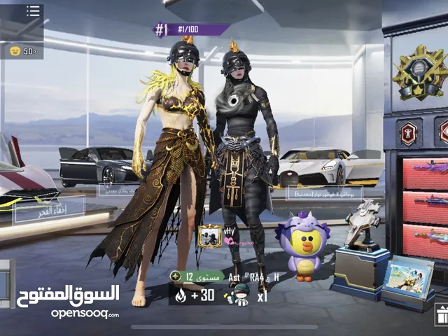 حساب ببجي للبيع