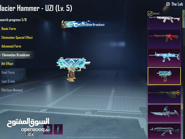 Pubg Accounts and Characters for Sale in Irbid