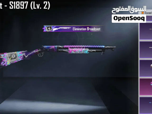 Pubg Accounts and Characters for Sale in Cairo