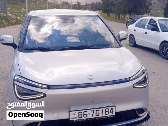 2025, Dongfeng, Nammi Box