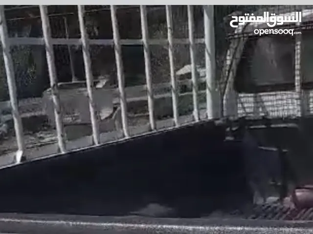 للبيع اصياخ بيكاب غماره وحده
