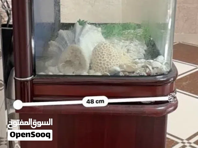 اموره طيبه