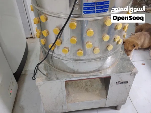 هلاسة دجاج