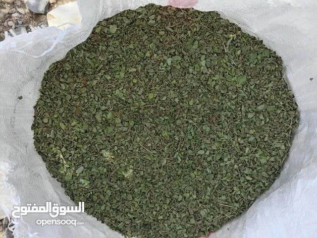 جونية سعتر عماني جديد انتاج 2024 من جبال الجبل الابيض