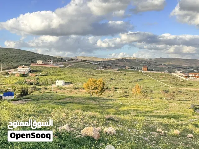 تملك نصف دونم بقوشان مستقل في جرش عنيبه مرتفعه خدمات ماء كهرباء طرق معبدة تصلح لبناء شاليه ومزرعة