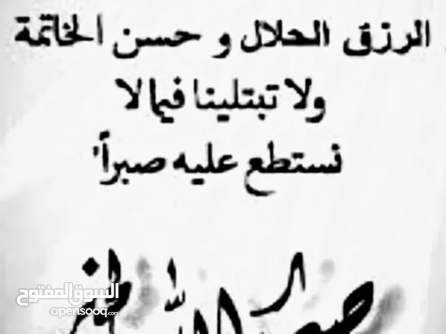 علف ارانب عمايره
