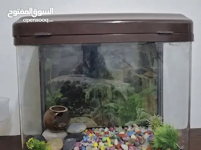 Used plastic aquarium in good condition