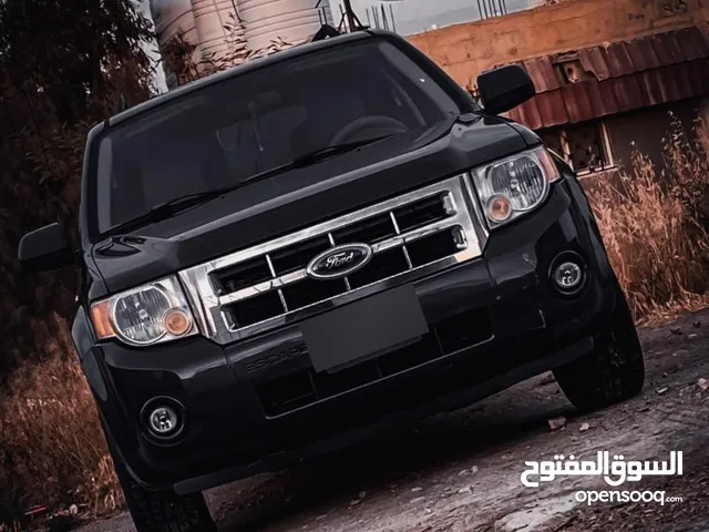 Used Ford Escape in Amman