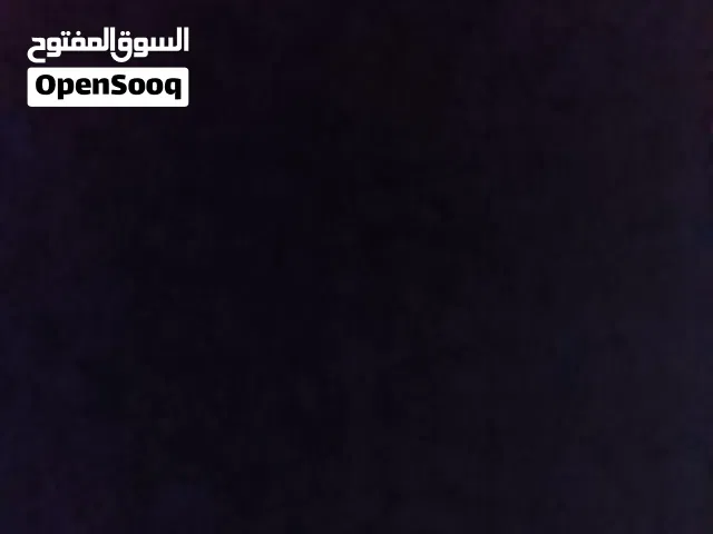 عدن الشيخ عثمان