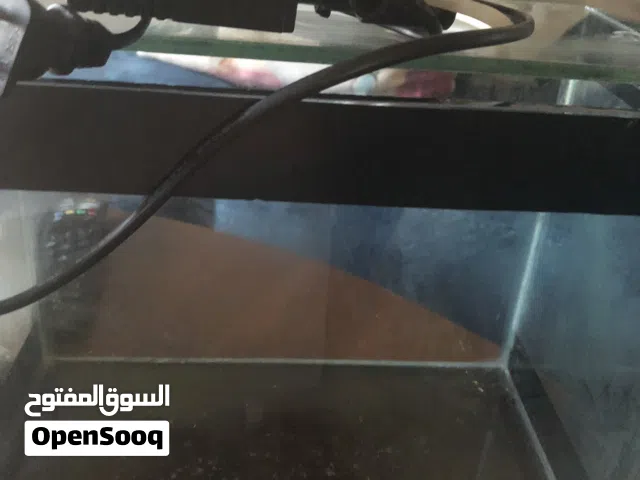 حوض سمك مع الفلتر مع الحجر