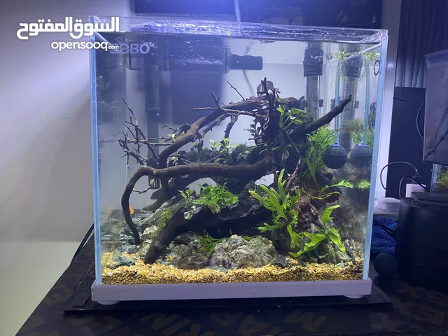 COMPLETE SETUP & ACCESORY