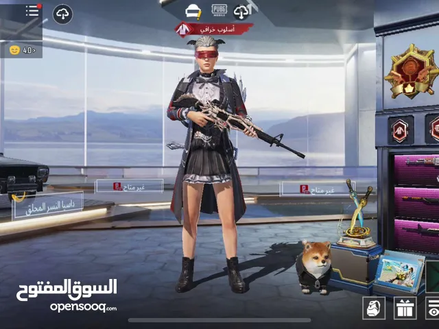 Pubg Accounts and Characters for Sale in Mafraq