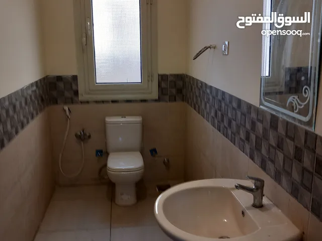 350 m2 4 Bedrooms Apartments for Rent in Cairo Fifth Settlement