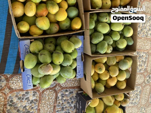 للبيع همبا وحدال