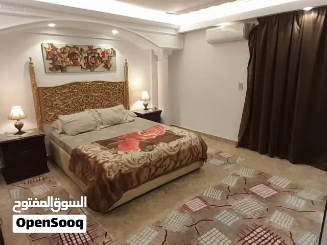 بجوار عباس العقاد شقه مفروشه 250 متر للايجار اليومي والشهري انترنت مجاني من المالك مباشره
