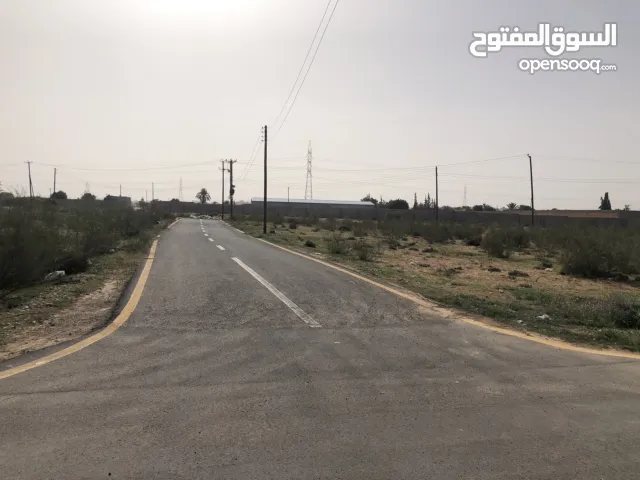 ارض في النشيع