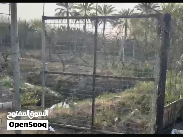 Farm Land for Sale in Saladin Balad