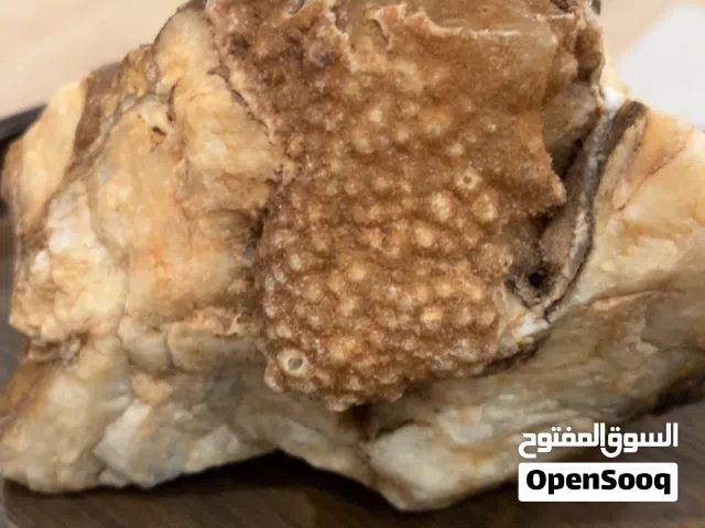 أحجار وتحفة