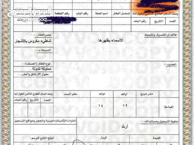بستان على نهر دجلة ملك صرف قرابة اكثر من دونم بعدبقليل من جزيرة بغداد السياحية يتم تقديم عروض سعر.