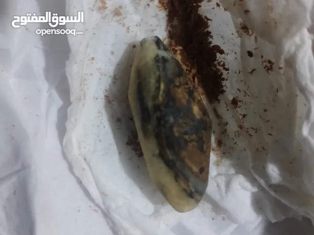 حجر قديم محاكم جاه ووجه ومحبه الناس
