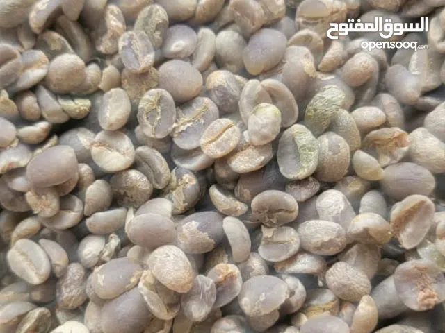 صافي مختص خولاني