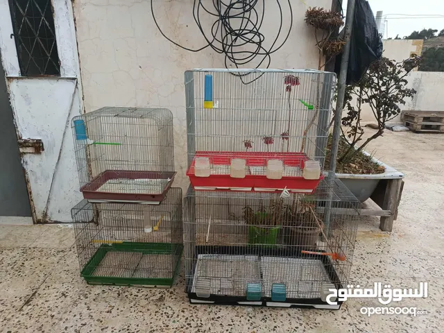 قفاص طيور للبيع