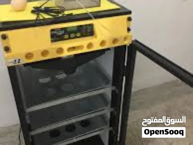 مطلوب فقاسة برنسي او فيم