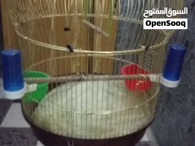 للبيع قفص طيور مستحدم