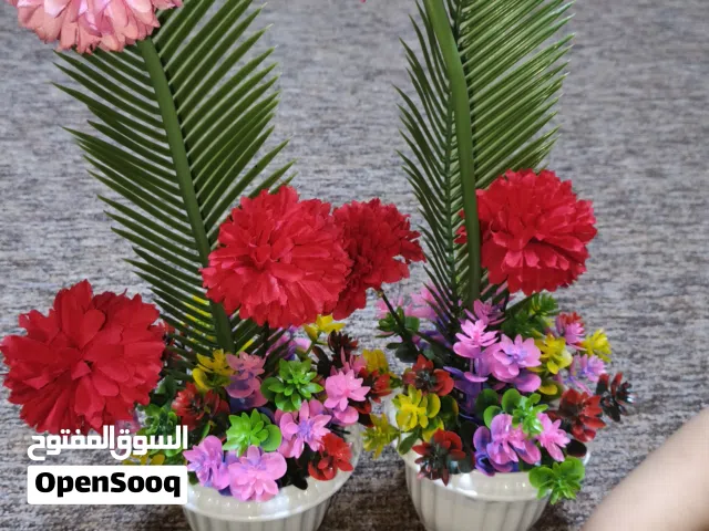 سندات ورد كبار