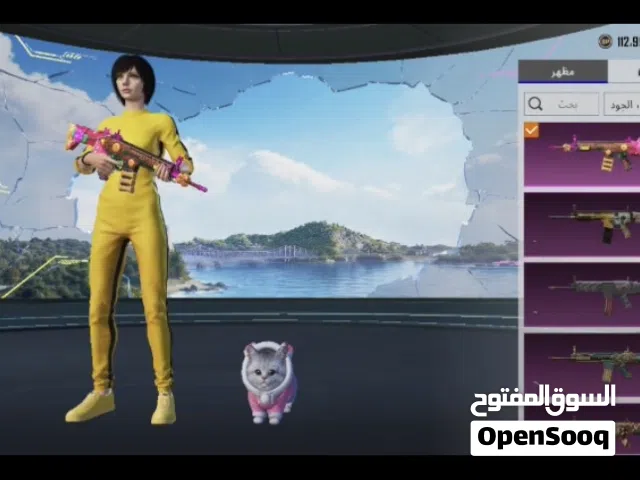 Pubg Accounts and Characters for Sale in Manama