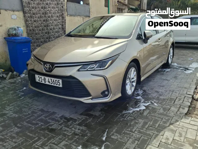 كورلة خليجي 2023 رقم شمالي