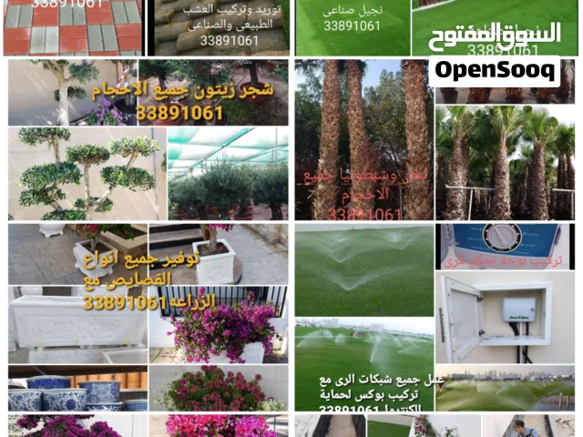 زراعة وتنسيق الحدائق