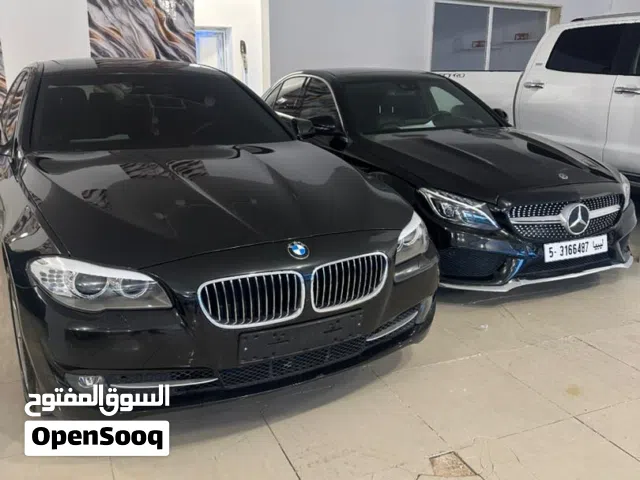 2010 بي ام دبليو الفئة 5 528