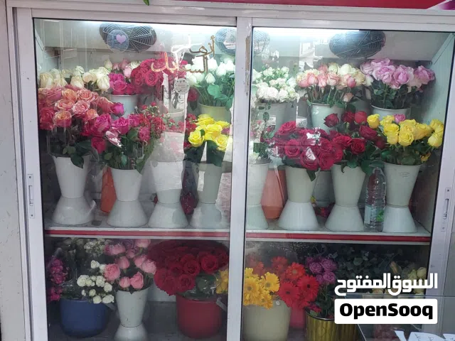 ثلاجه عرض مستعمله للبيع